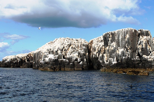Farne4