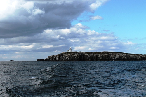 Farne9