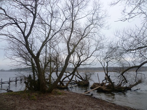 wannsee4