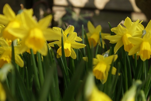 ?????????????????????????????