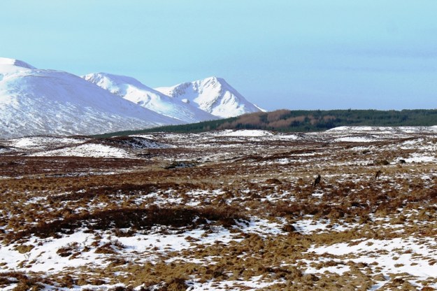 Rannoch