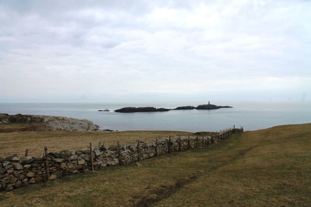 Rhoscolyn4